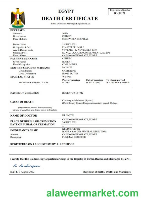 Egypt vital record death certificate Word and PDF template